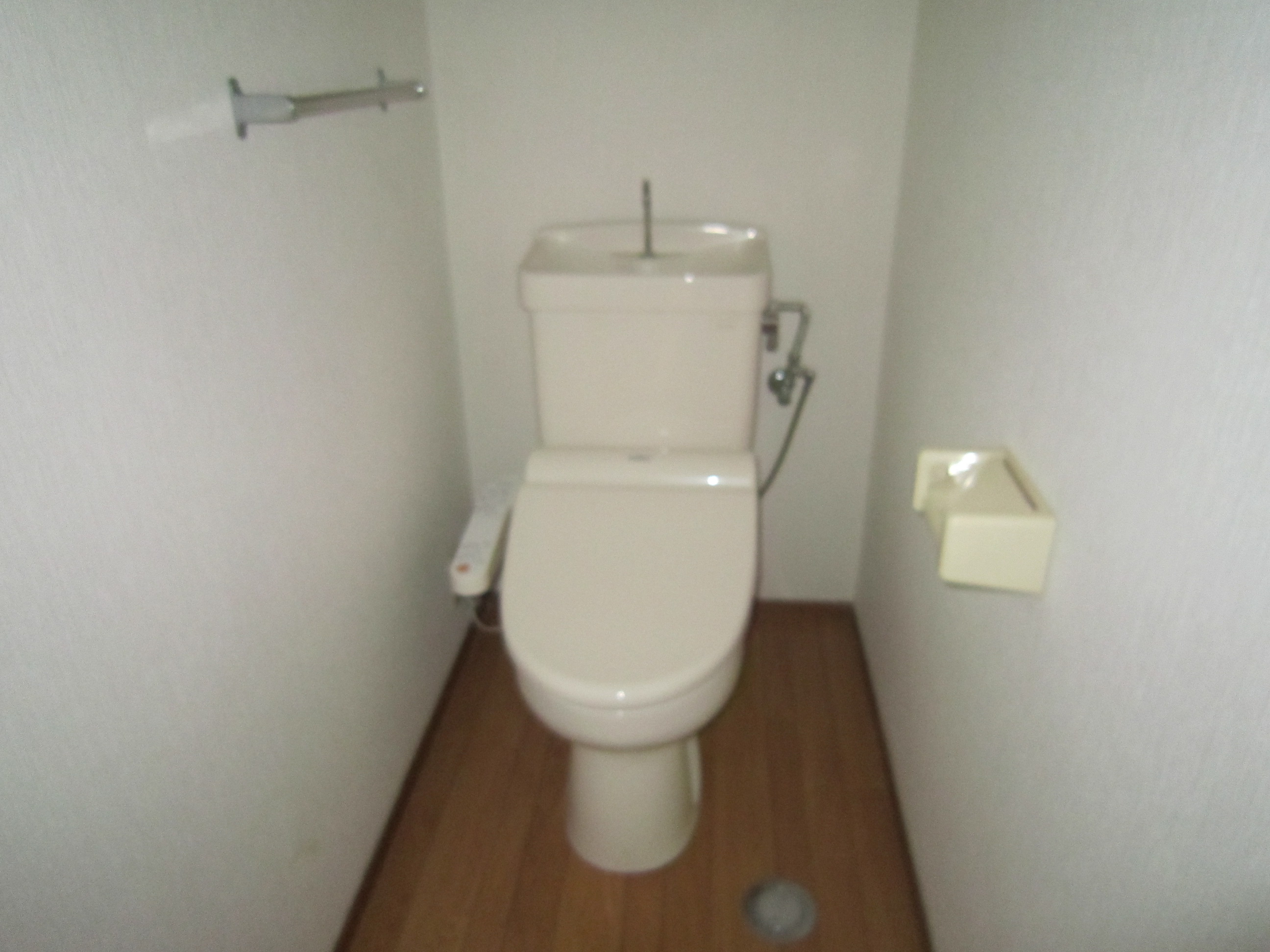 Toilet. Reference photograph