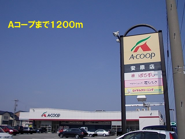 Supermarket. 1200m to A Co-op (super)