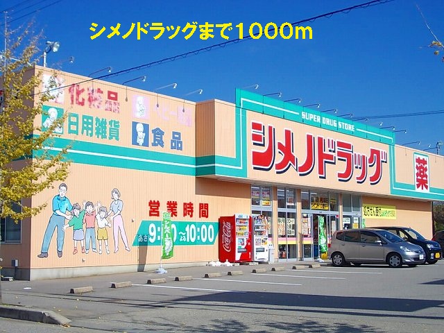 Dorakkusutoa. Shimeno 1000m to drag (drugstore)