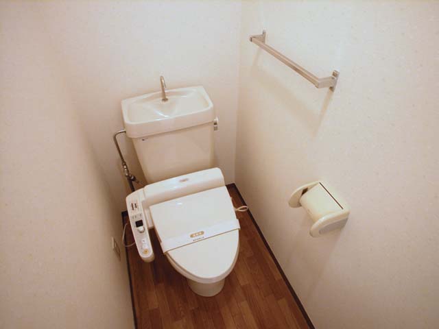 Toilet. Reference photograph