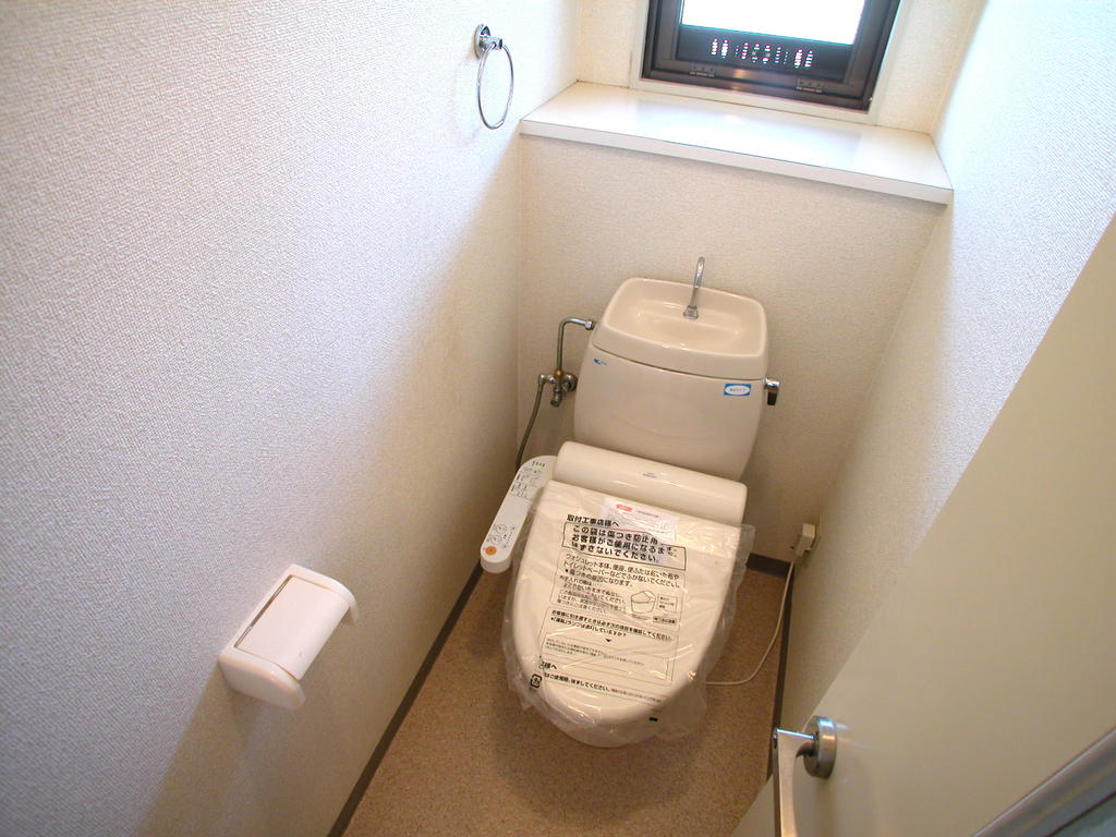 Toilet. Reference photograph 213