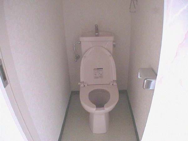 Toilet. Reference photograph