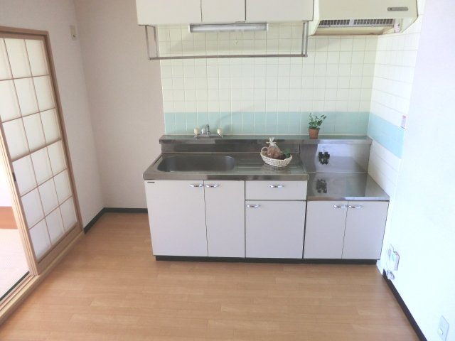 Kitchen. Reference photograph