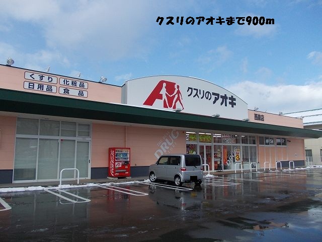 Dorakkusutoa. Medicine of Aoki 900m to (drugstore)