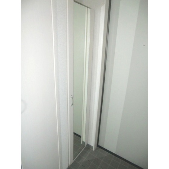 Entrance. Full-length mirror mirror with cupboard