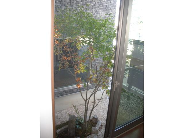 Garden. Small courtyard space