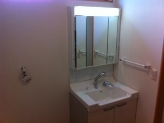 Wash basin, toilet. High-grade