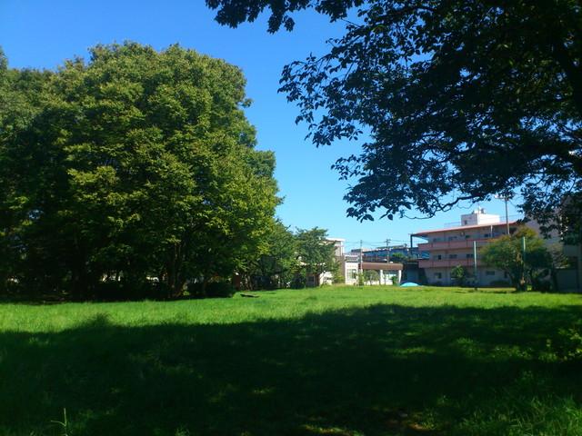 Other local. Peace town first park