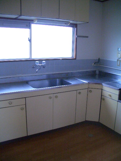 Kitchen. L-shaped kitchen