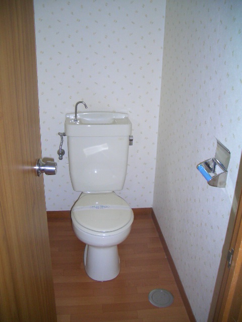 Toilet. Western style