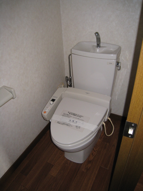 Toilet. It comes with a bidet.