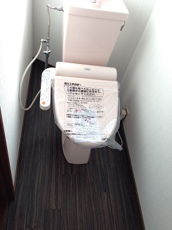 Toilet. Cleaning function toilet seat