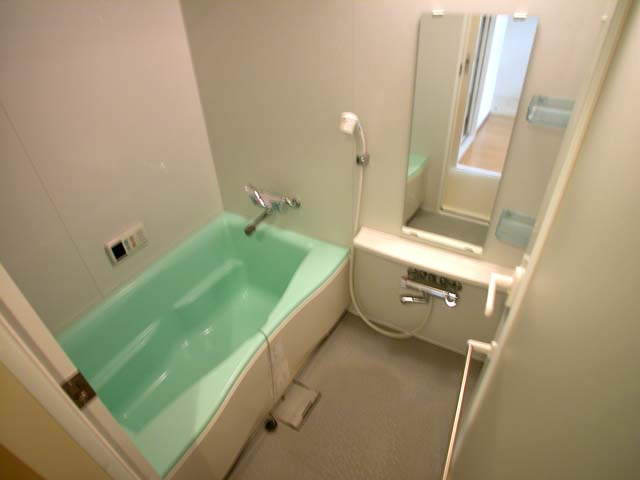 Bath. Jose also laundry in with ventilation dryer. Mirror is also large!