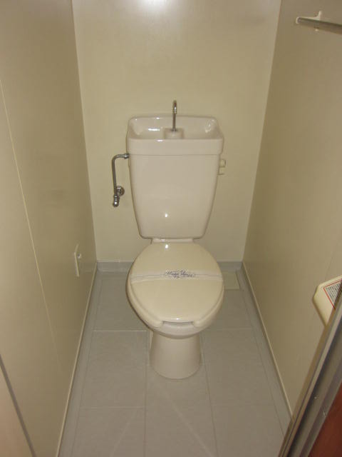 Toilet. This is the inverting type.