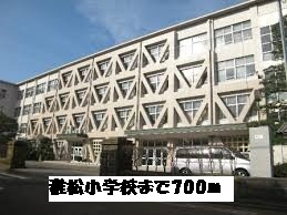 Junior high school. Itokenamatsu 700m up to elementary school (junior high school)