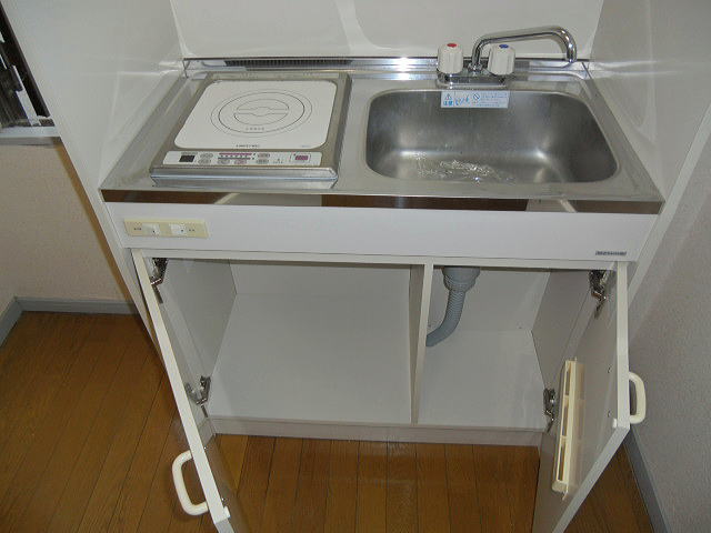 Kitchen. It is a compact mini-kitchen.