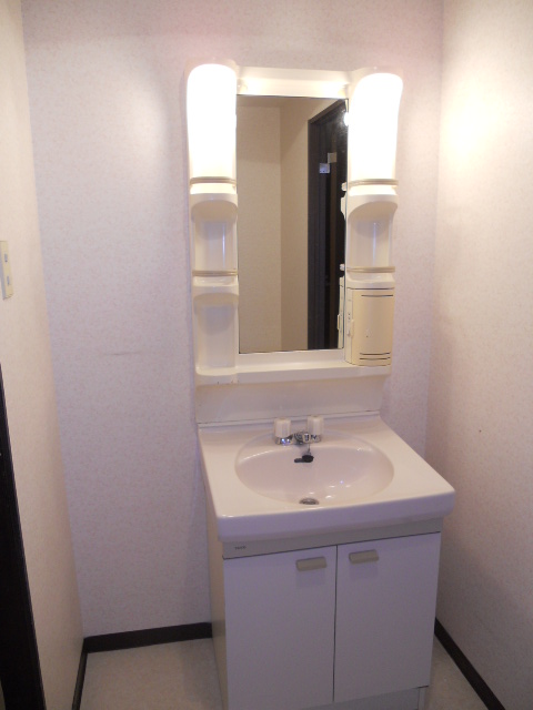 Washroom. Bathroom vanity