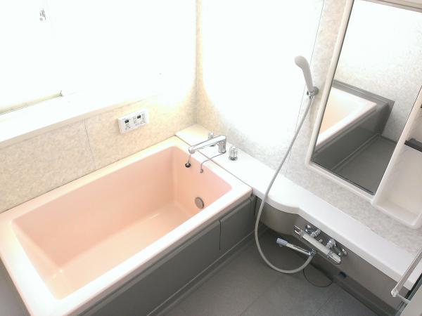 Bathroom. Economic bath with add cooking function