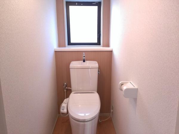 Toilet. Toilet also important space. Walls were tried using a stylish two-color