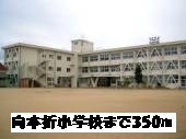 Primary school. Mukaimotoori 350m up to elementary school (elementary school)