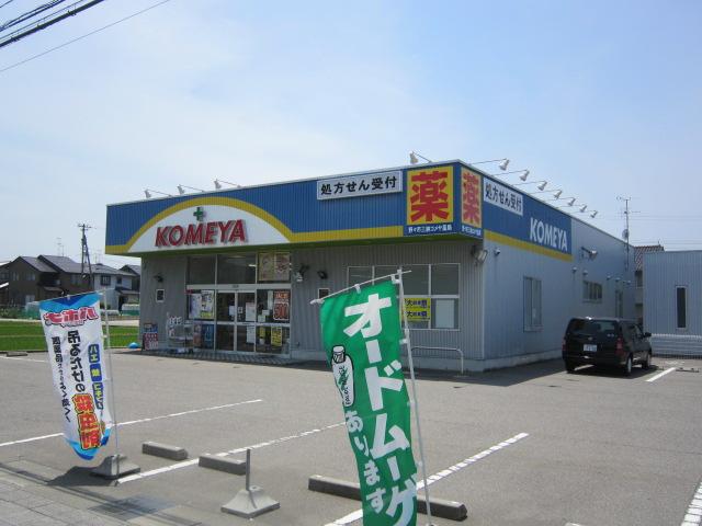 Drug store. Nonoichi Mino Komeya to pharmacy 306m