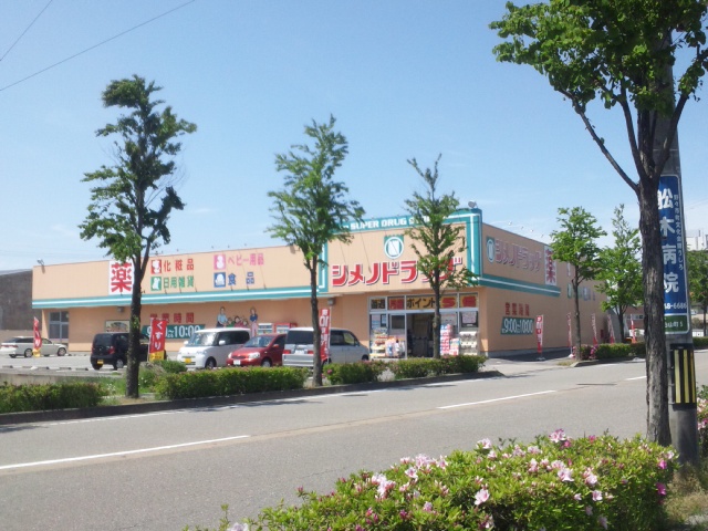 Dorakkusutoa. Shimeno drag Nonoichi shop 377m until (drugstore)