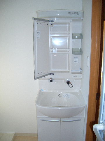 Washroom. Vanity with shower.