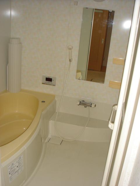 Bathroom. Indoor (12 May 2013) Shooting