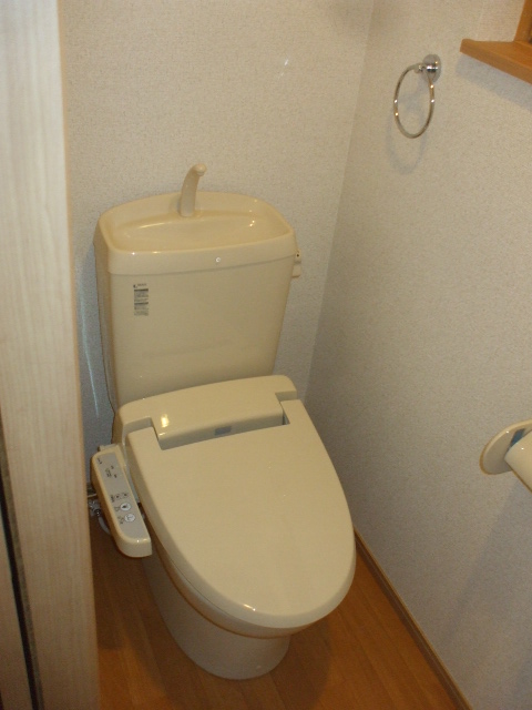 Toilet. With cleaning function heating toilet seat