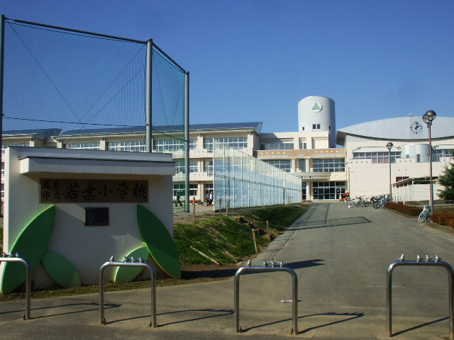 Primary school. 1600m until the Municipal young leaves elementary school (elementary school)