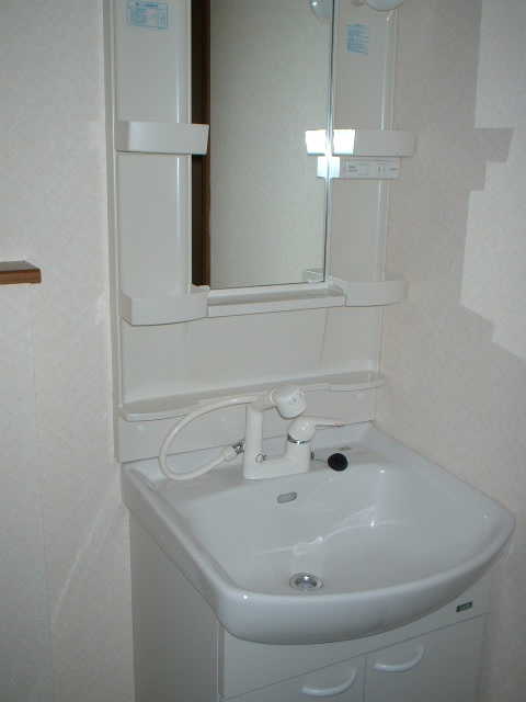 Washroom. Shampoo dresser