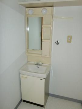 Washroom. Bathroom vanity