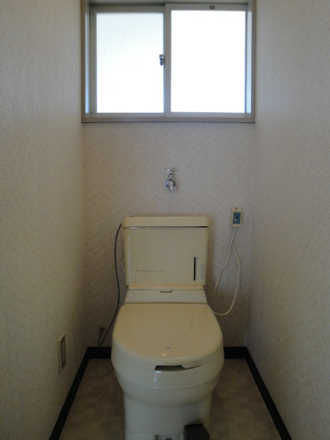 Toilet. It is a simple flush toilet with antifreeze heater!