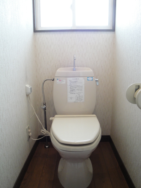 Toilet. wide, Beautiful toilet. Also brightness recommended point!