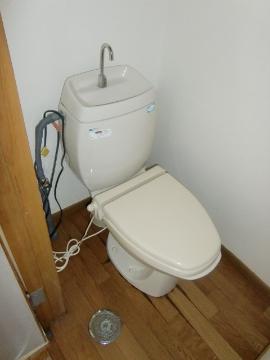 Toilet. WC