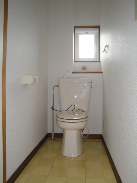 Toilet. Toilet space is also large.