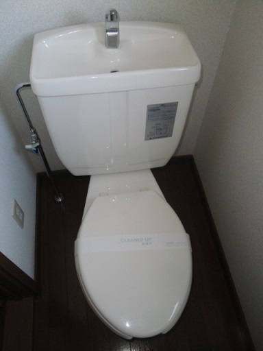 Toilet. It is the state of the toilet.