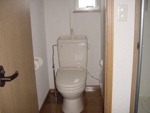 Toilet. Reversal is