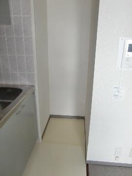 Other room space. Refrigerator space