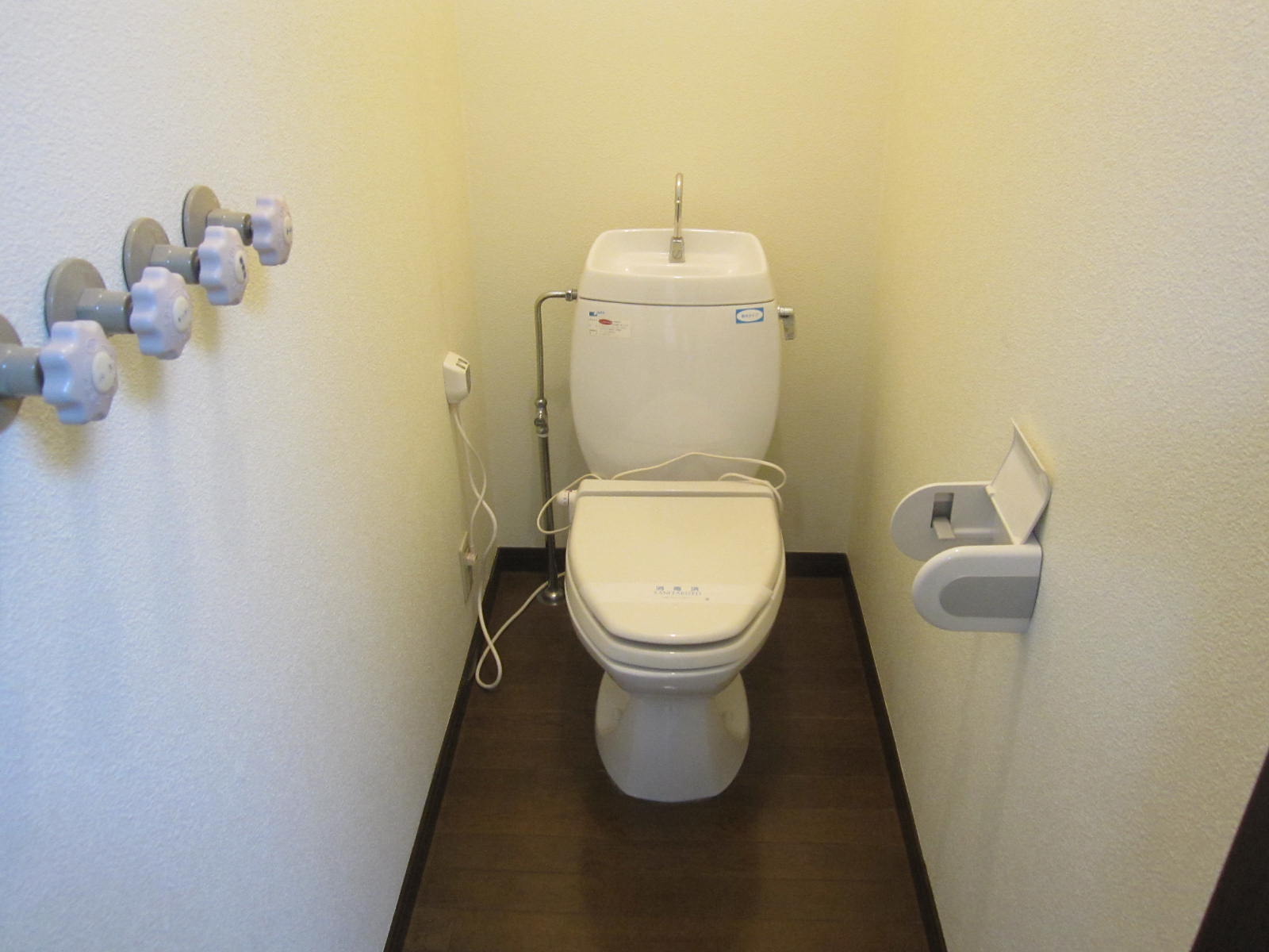 Toilet. Of course, it is flush toilet!
