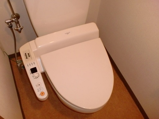 Toilet. Toilet is with a bidet.