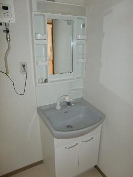 Other room space. Shampoo wash basin