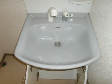 Other room space. Shampoo wash basin