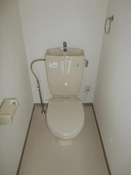 Toilet. WC