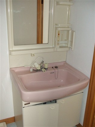 Washroom. Washbasin a shower. It is very convenient if there!