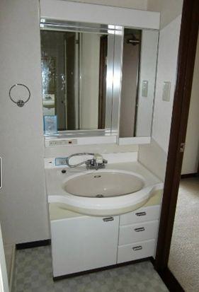 Wash basin, toilet. Vanity with shampoo dresser