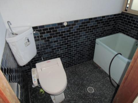 Other room space. toilet, bathroom