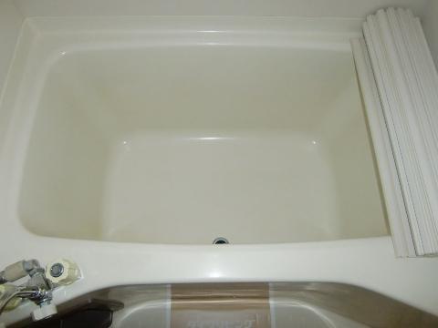 Bath. Bathtub