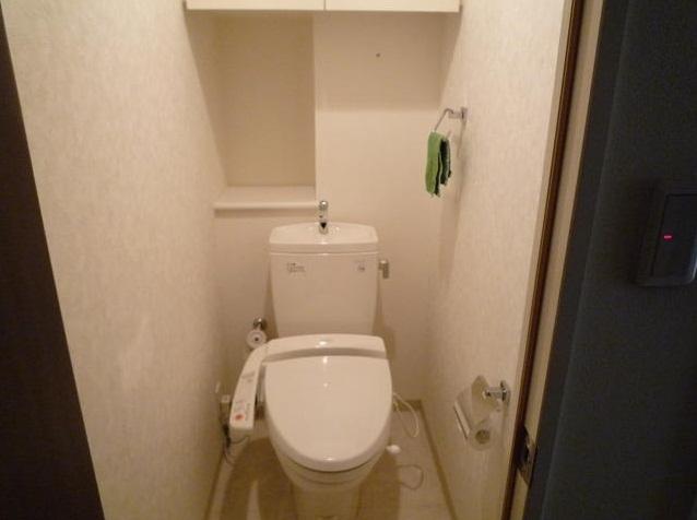 Toilet. Indoor (01 May 2013) Shooting