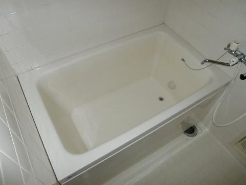 Bath. Bathtub